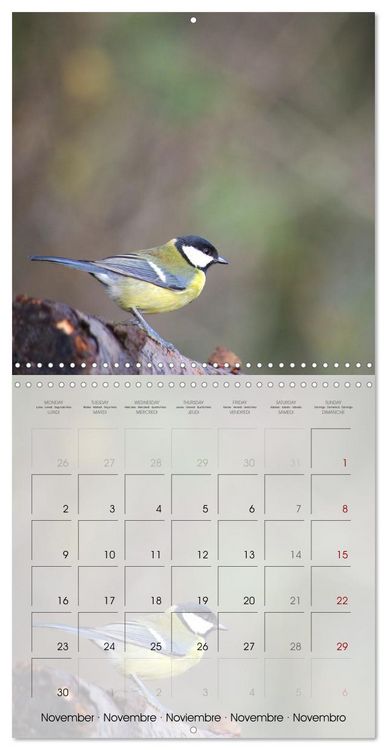 Produktbild: Le jardin des m&eacute;sanges (Calendrier mural carr&eacute; 2026 30x30 cm) Calendrier double avec une page pour vos prises de notes