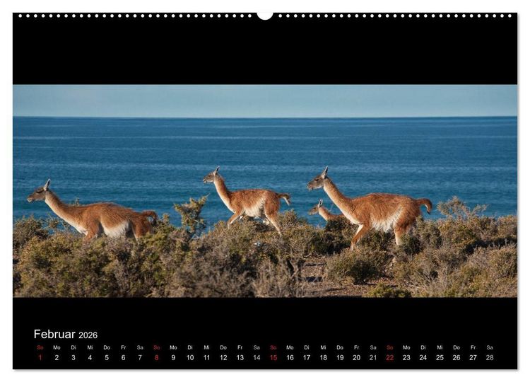 Produktbild: Patagonien - Ungez&auml;hmtes Land (hochwertiger Premium Wandkalender 2026 DIN A2 quer), Kunstdruck in Hochglanz