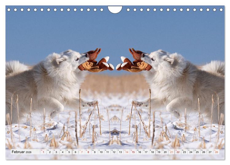 Produktbild: Mit doppelter Power durch das Jahr (Wandkalender 2026 DIN A4 quer), CALVENDO Monatskalender