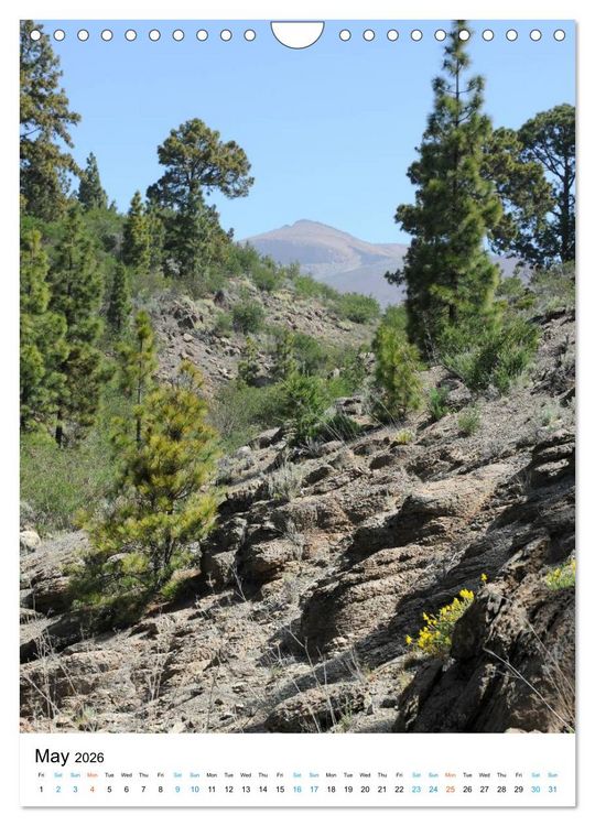 Produktbild: Tenerife - The volcanic island (Wall Calendar 2026 DIN A4 portrait), CALVENDO 12 Month Wall Calendar