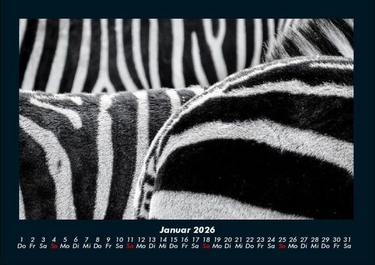 Produktbild: Tierkalender 2026 Fotokalender DIN A4
