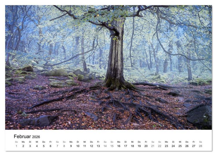 Produktbild: Magie der W&auml;lder Britanniens (hochwertiger Premium Wandkalender 2026 DIN A2 quer), Kunstdruck in Hochglanz