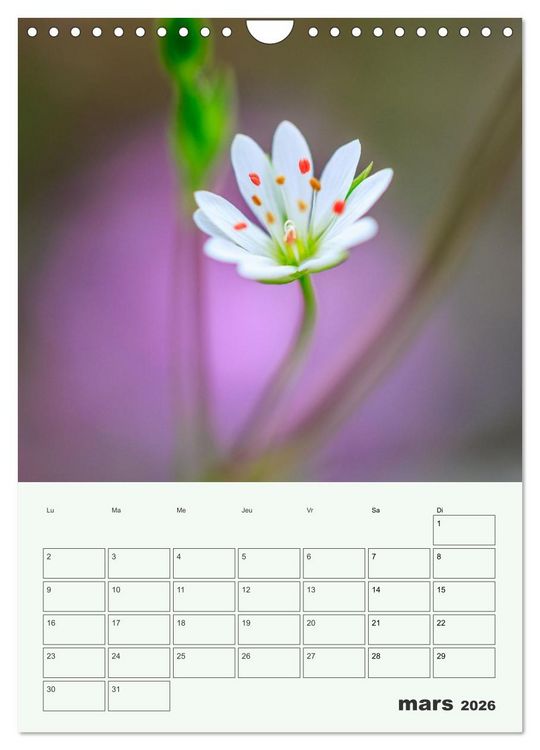 Produktbild: Fleurs en toute simplicit&eacute; - Beaut&eacute; minimaliste (Calendrier mural 2026 DIN A4 horizontal), CALVENDO calendrier mensuel