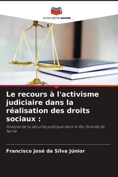 Produktbild: Le recours &agrave; l'activisme judiciaire dans la r&eacute;alisation des droits sociaux :
