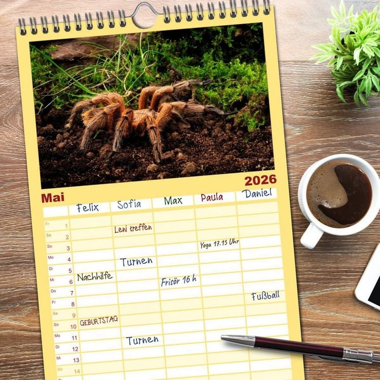 Produktbild: Familienplaner 2026 - Vogelspinnen - Tarantulas mit 5 Spalten (Wandkalender, 21 x 45 cm) CALVENDO
