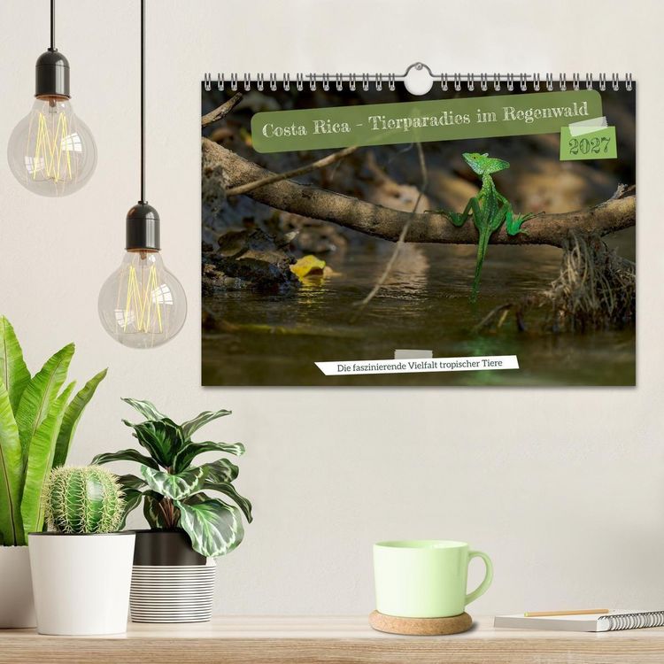 Produktbild: Costa Rica &ndash; Tierparadies im Regenwald (Wandkalender 2027 DIN A4 quer), CALVENDO Monatskalender