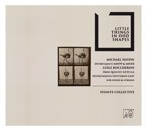 Produktbild: Little Things in odd Shapes