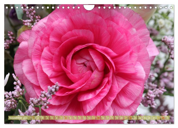 Produktbild: A Flower Festival (Wall Calendar 2026 DIN A4 landscape), CALVENDO 12 Month Wall Calendar