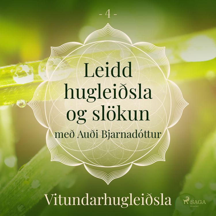 Produktbild: Leidd huglei&eth;sla og sl&ouml;kun - Vitundarhuglei&eth;sla