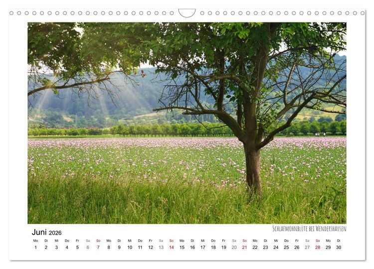 Produktbild: Zauberhaftes Witzenhausen (Wandkalender 2026 DIN A3 quer), CALVENDO Monatskalender