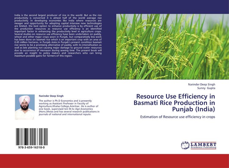 Produktbild: Resource Use Efficiency in Basmati Rice Production in Punjab (India)