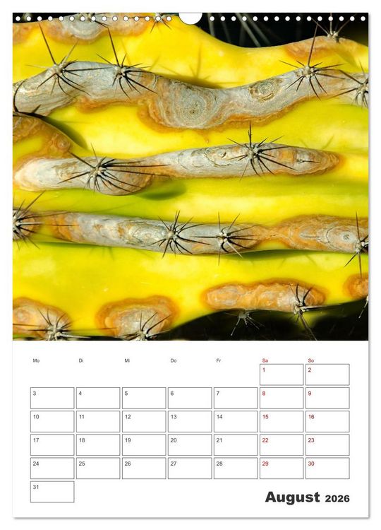 Produktbild: Dornige Sch&ouml;nheiten - Kakteen und Sukkulenten (Wandkalender 2026 DIN A3 hoch), CALVENDO Monatskalender