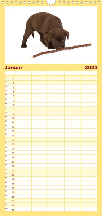Produktbild: Familienplaner Labrador - Welpen (Wandkalender 2022 , 21 cm x 45 cm, hoch)