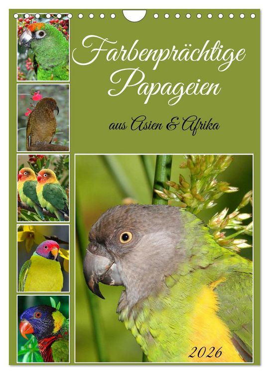 Produktbild: Farbenpr&auml;chtige Papageien aus Asien und Afrika (Wandkalender 2026 DIN A4 hoch), CALVENDO Monatskalender