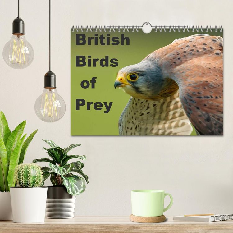 Produktbild: British Birds of Prey (Wall Calendar 2026 DIN A4 landscape), CALVENDO 12 Month Wall Calendar