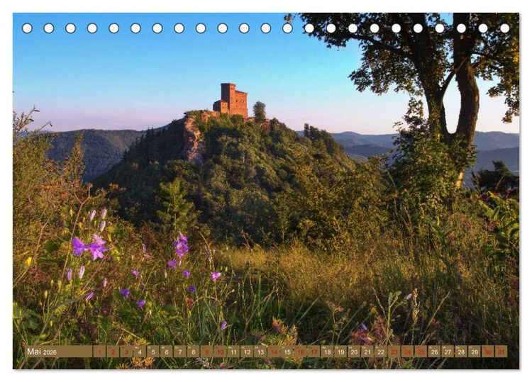 Produktbild: Augenschmaus Pf&auml;lzer Wald (Tischkalender 2026 DIN A5 quer), CALVENDO Monatskalender