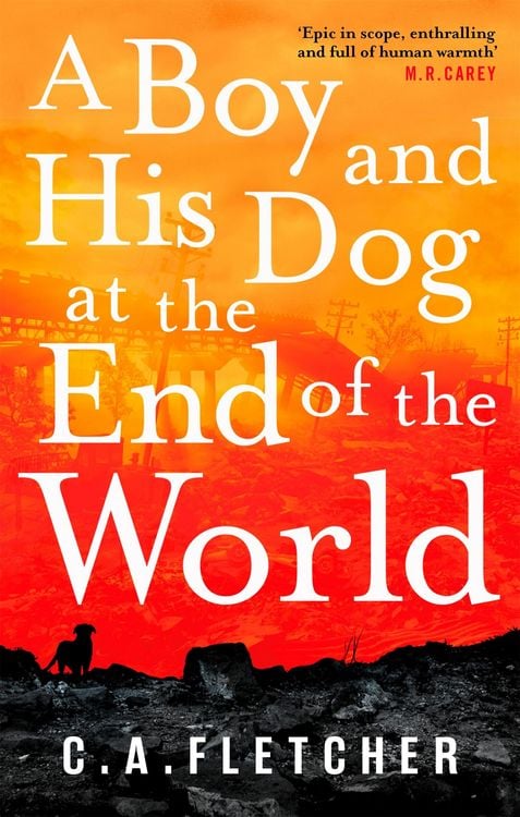 Produktbild: A Boy and his Dog at the End of the World