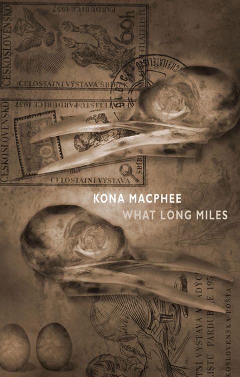 Produktbild: What Long Miles
