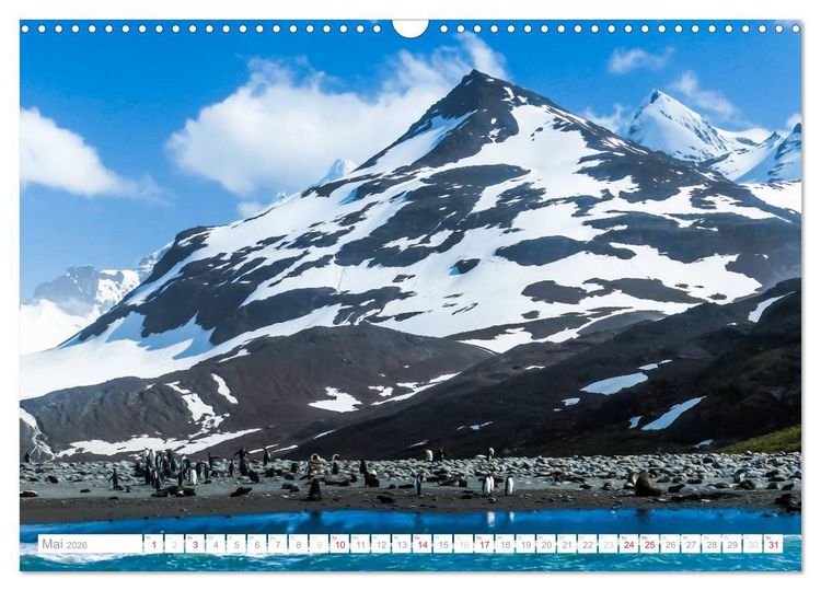 Produktbild: Antarktis - Das Reich der Pinguine (Wandkalender 2026 DIN A3 quer), CALVENDO Monatskalender