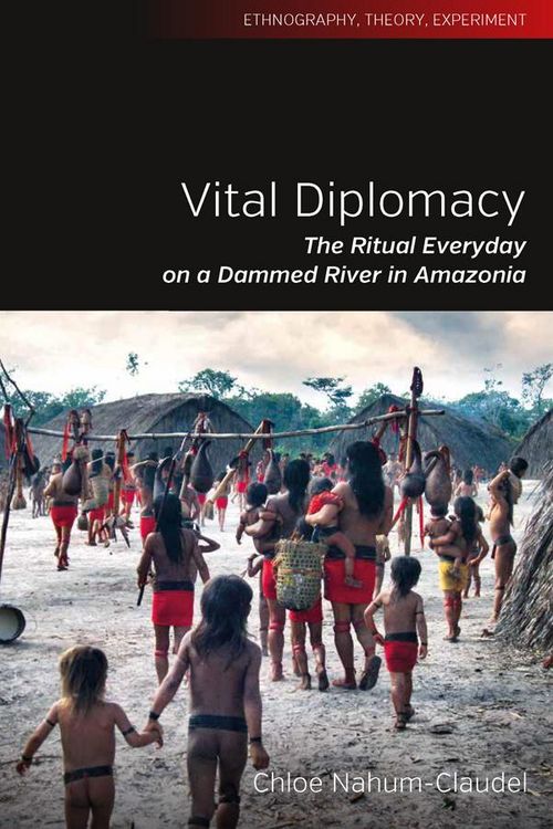 Produktbild: Vital Diplomacy