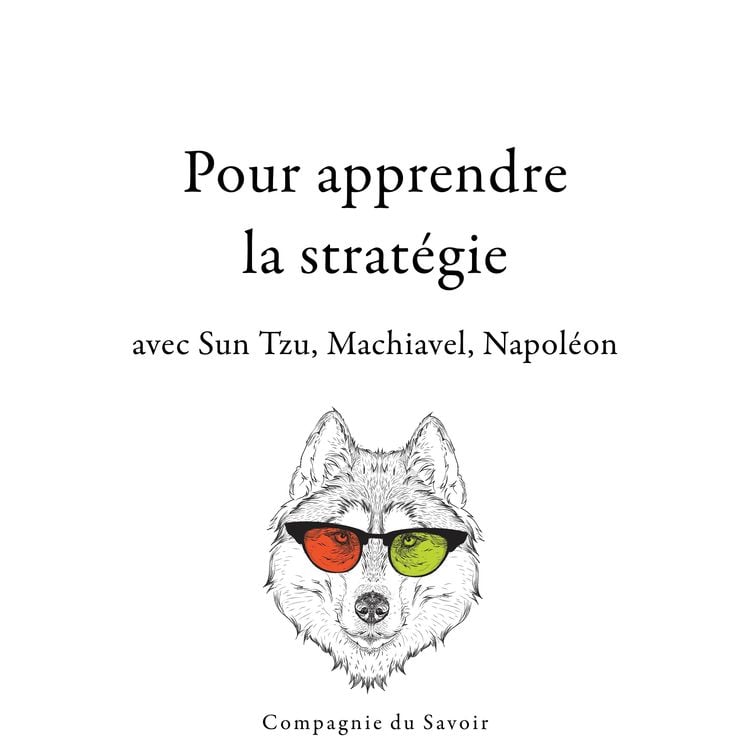 Produktbild: 300 citations pour apprendre la strat&eacute;gie avec Sun Tzu, Machiavel, Napol&eacute;on