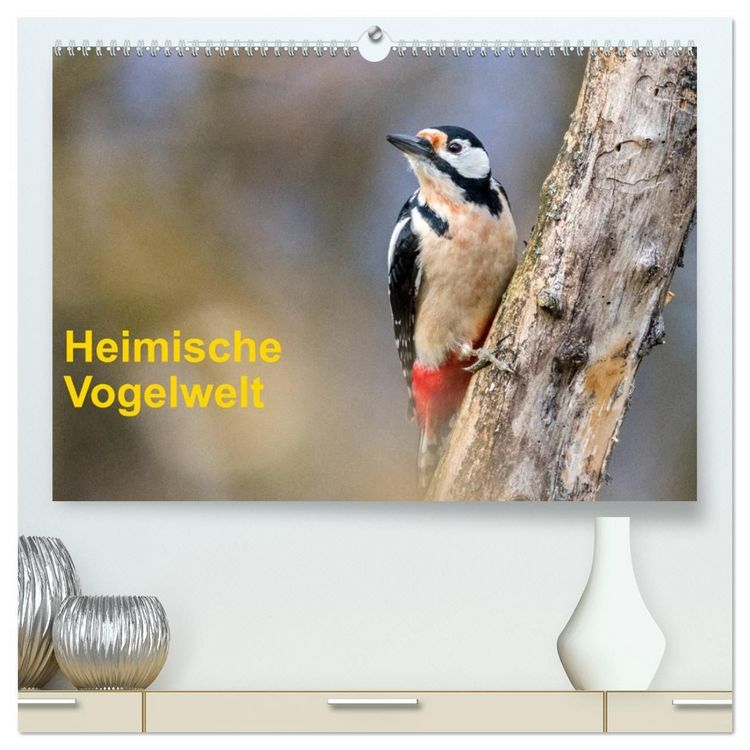 Produktbild: Heimische Vogelwelt (hochwertiger Premium Wandkalender 2027 DIN A2 quer), Kunstdruck in Hochglanz
