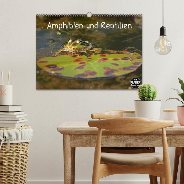 Produktbild: Amphibien und Reptilien (Wandkalender 2026 DIN A3 quer), CALVENDO Monatskalender