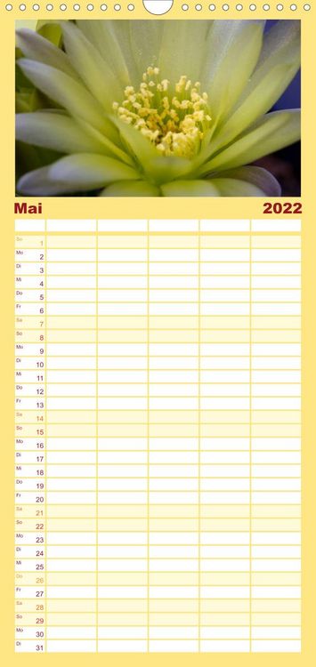 Produktbild: Bl&uuml;tensymphonie - Kakteen und Sukkulenten - Familienplaner hoch (Wandkalender 2022 , 21 cm x 45 cm, hoch)