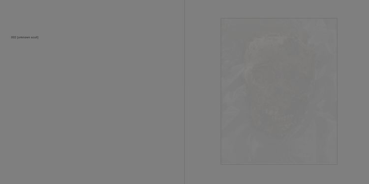Produktbild: Nachbilder - Afterimages