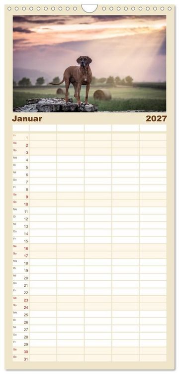 Produktbild: Familienplaner 2027 - Rhodesian Ridgeback - Herzen auf vier Pfoten mit 5 Spalten (Wandkalender, 21 x 45 cm) CALVENDO