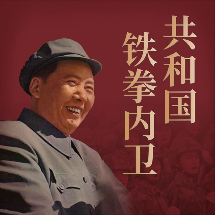 Produktbild: 共和国铁拳内卫