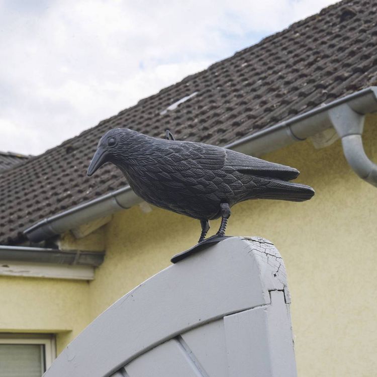 Produktbild: Gardigo Taubenabwehr-Rabe Funktionsart Abschreckung 1St.