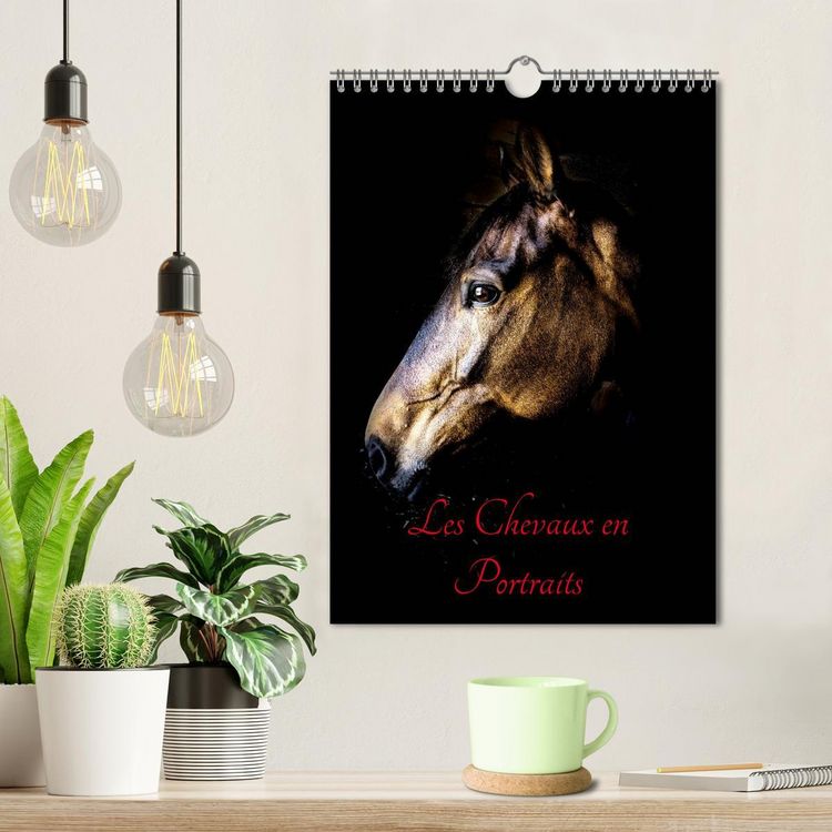 Produktbild: Chevaux en Portraits (Calendrier mural 2026 DIN A4 horizontal), CALVENDO calendrier mensuel