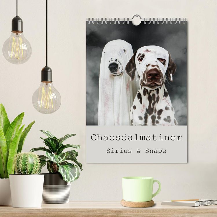 Produktbild: Chaosdalmatiner Sirius und Snape (Wandkalender 2026 DIN A4 hoch), CALVENDO Monatskalender