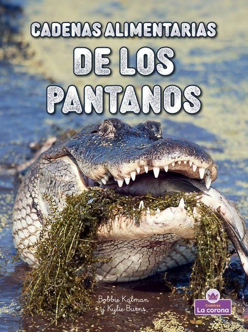 Produktbild: Cadenas Alimentarias de Los Pantanos (Wetland Food Chains)
