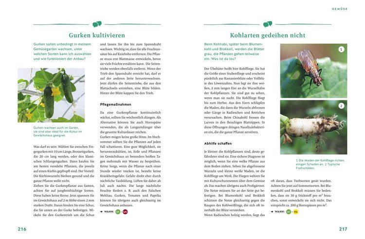 Produktbild: G&auml;rtnern f&uuml;r Gartenneulinge