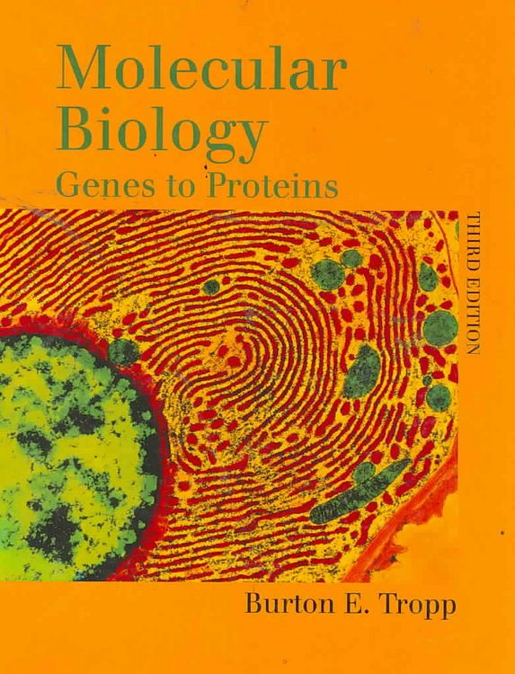Produktbild: Molecular Biology: Genes to Proteins