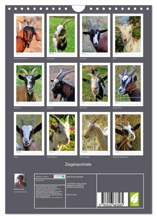 Produktbild: Ziegenportraits (Wandkalender 2026 DIN A4 hoch), CALVENDO Monatskalender