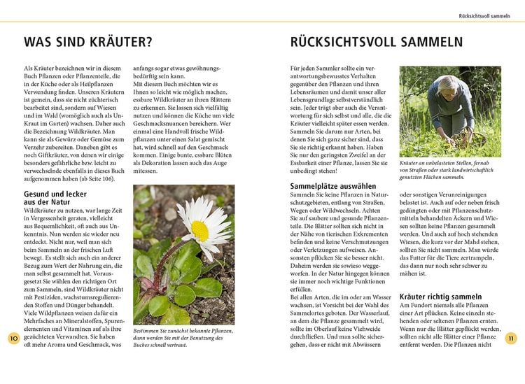 Produktbild: Wildkr&auml;uter am Blatt erkennen