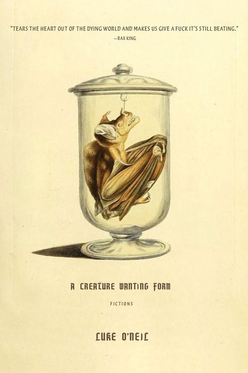 Produktbild: A Creature Wanting Form