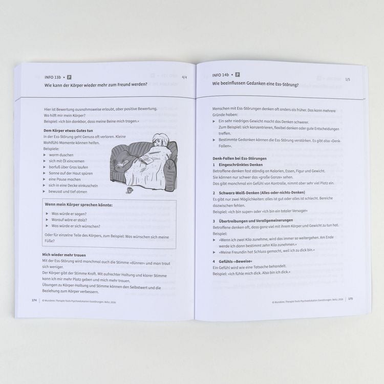Produktbild: Therapie-Tools Psychoedukation Essst&ouml;rungen