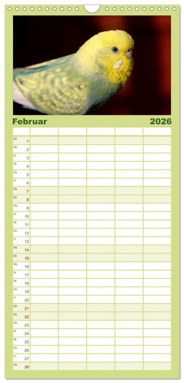 Produktbild: Familienplaner 2026 - Wellensittiche - Naturkalender mit 5 Spalten (Wandkalender, 21 x 45 cm) CALVENDO