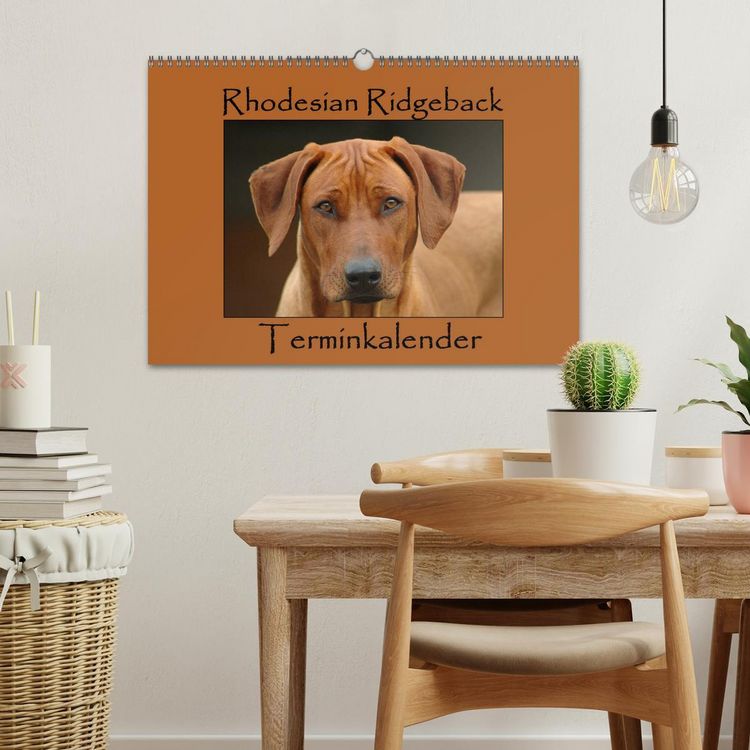 Produktbild: Rhodesian Ridgeback Terminkalender (Wandkalender 2026 DIN A3 quer), CALVENDO Monatskalender