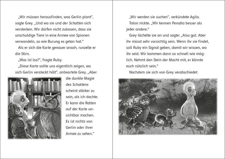 Produktbild: Der letzte Feuerfalke und die R&uuml;ckkehr des Schattens (Band 12)