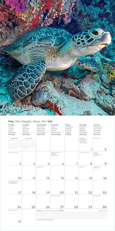 Produktbild: Farben der Erde - KUNTH Broschurkalender 2027