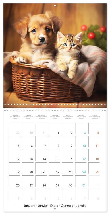 Produktbild: Mignon duo (Calendrier mural carr&eacute; 2026 30x30 cm) Calendrier double avec une page pour vos prises de notes