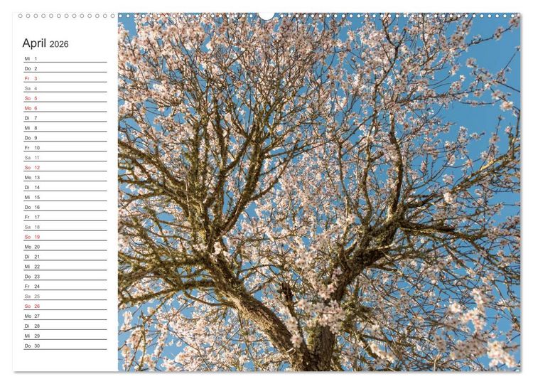Produktbild: Emotionale Momente: Mandeln (Wandkalender 2026 DIN A2 quer), CALVENDO Monatskalender