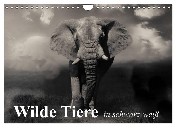 Produktbild: Wilde Tiere in schwarz-wei&szlig; (Wandkalender 2026 DIN A4 quer), CALVENDO Monatskalender