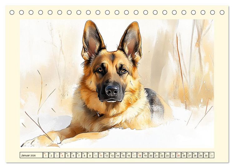 Produktbild: Deutsche Sch&auml;ferhunde. Majest&auml;tische W&auml;chter im Aquarell-Stil (Tischkalender 2026 DIN A5 quer), CALVENDO Monatskalender