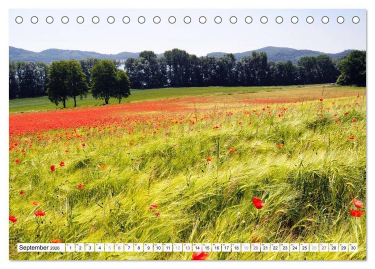 Produktbild: Naturlandschaft Laacher See (Tischkalender 2026 DIN A5 quer), CALVENDO Monatskalender